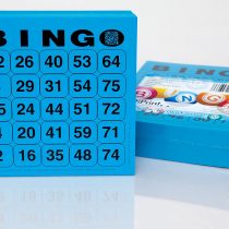 DiPrint 200 large printed Bingo cards for seniors system 25 from 75 (blue)