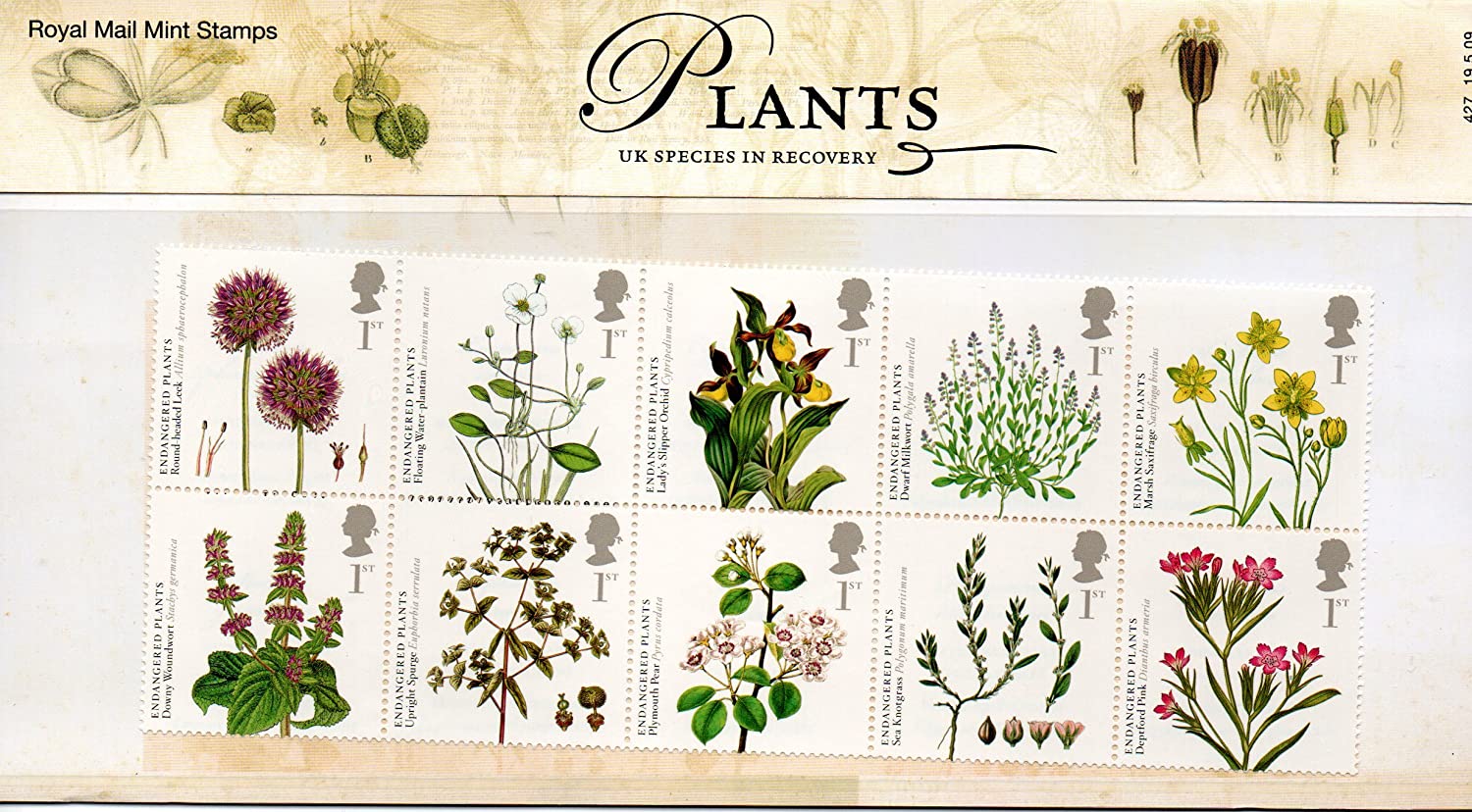 2009 Plants Presentation Pack 427 - Image 2