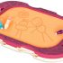 B. Toys BX1294Z Toulouse Laptrec-Magnetic Drawing Board for Toddlers, Multicolor