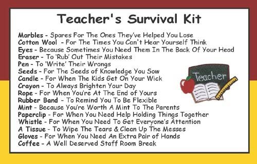 Thank you Christmas End of term Teaching Assistant Fun Novelty Survival Kit 
