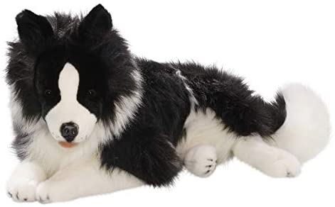 Border Collie lying, 23.5 inches, 60cm, Plush Toy, Soft Toy 2695