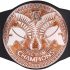 WWE Tag Team Championship Belt