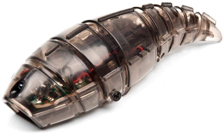 Hexbug Hexbug Larva Electronic Toys Assorted Toptoy