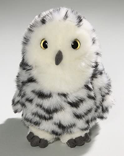 korimco owl