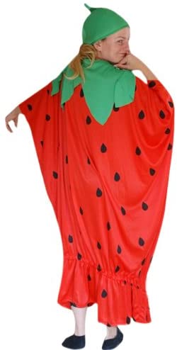 TO77 Strawberries XXL – XXXL costume strawberry costume costumes