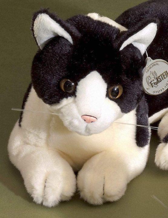 soft cuddly cat toy