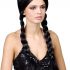 Adult Ladies School Girls Black Pigtails Wig Fancy Dress Accessory