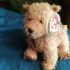 Ty Beanies - Scampy the Dog