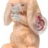 Ty Beanie Baby - Grace, the Bunny